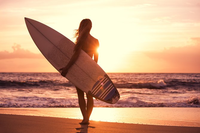1.5-Hour Surf Lesson in Santa Monica - Santa Monica–Venice Beginner Conditions: Why This Location Helps