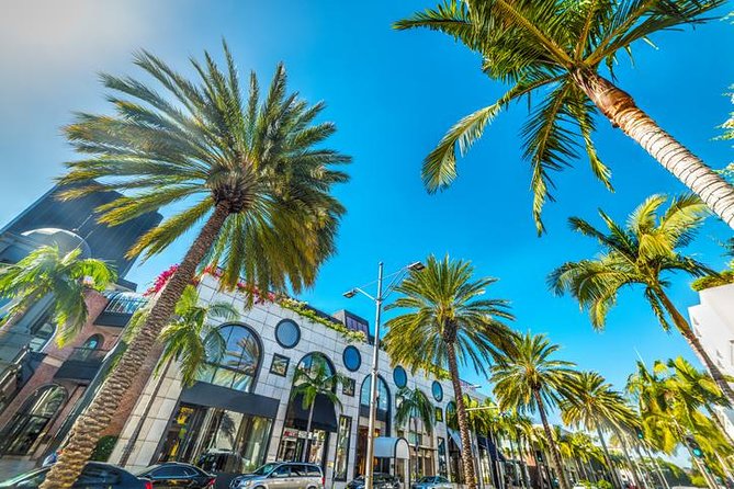 2-Hour Hollywood, West Hollywood and Beverly Hills Open Bus Tour - The Photos Reality Check: Wind, Trees, and Open-Air Comfort