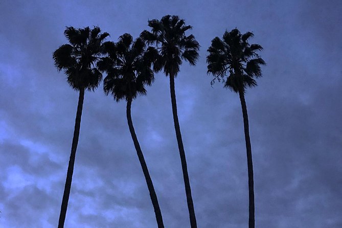 3.5 Hour Coastal Tour of Santa Monica, Venice Beach and Malibu - Pacific Coast Highway and Sunset Boulevard: the road becomes the attraction