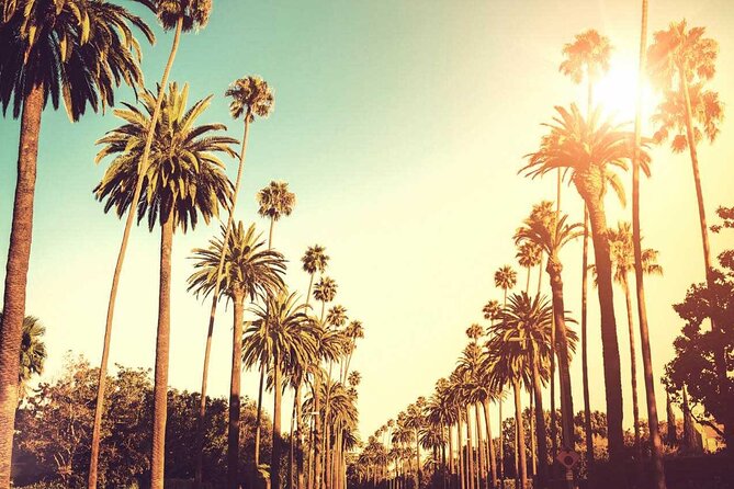 3.5-Hour LA Story Tour: Our Most Popular Los Angeles Tour! - Tar Pits time machine: Ice Age fossils and 15 minutes that stick