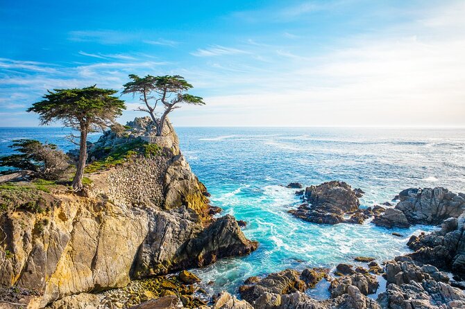 3-Day Tour: San Francisco, Yosemite National Park and LA - Day 3: Yosemite National Park, then the long drive back to LA
