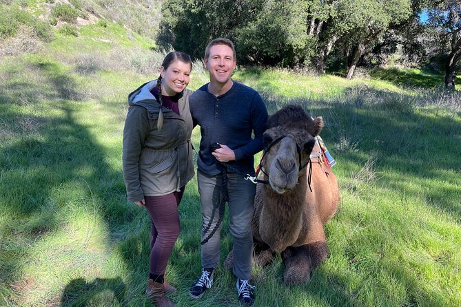 3 Hour Camel Trek into the Forest and Ranch in California - Camel back into the forest: the picnic that makes it feel special