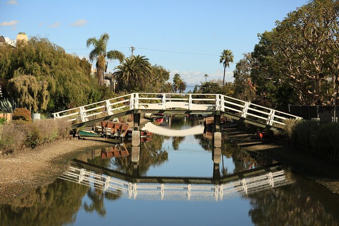 4.5 Hour Venice Beach Open Air Van Tour - The guide experience: why a good host changes everything