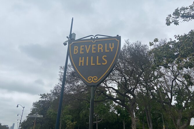 Best of LA, Hollywood, Griffith Park, with Beaches from Anaheim - Venice Beach and Muscle Beach Energy: Great Chaos in 40 Minutes