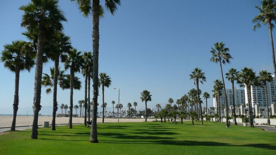 Best of Los Angeles Day Tour with German-Speaking Guide - Downtown Chinatown: A Quick Culture Contrast That Fits the Route