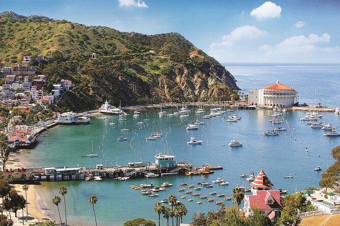 Catalina Express: San Pedro to Avalon One-Way Ferry - Arriving in Avalon: Cabrillo Mole drop-off and the easy walk to town