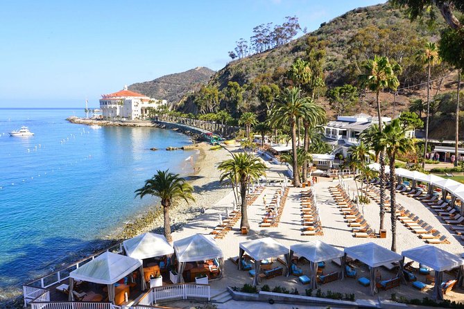 Catalina Express: San Pedro to Avalon One-Way Ferry - Your Day on Catalina: how to plan since you’re on your own