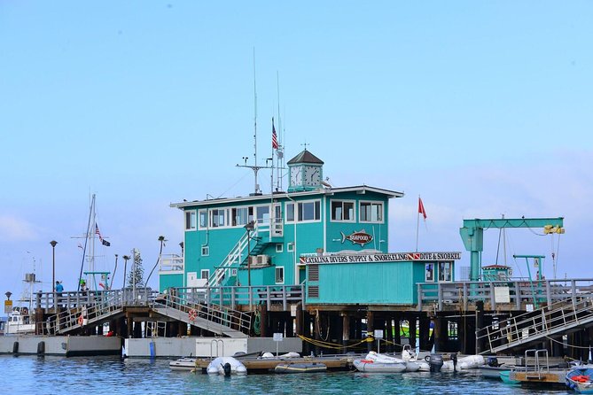 Catalina Express: San Pedro to Avalon One-Way Ferry - Who should book this Catalina Express one-way to Avalon?