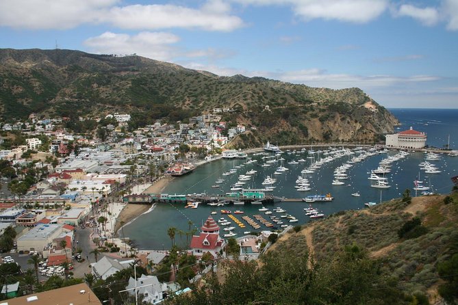 Catalina Island Day Trip from Anaheim Hotels with Discover Avalon Tour - Descanso Beach Club: Your One-Hour Beach Reset