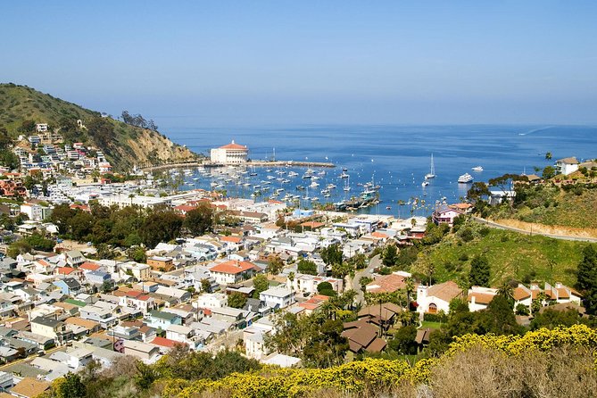 Catalina Island Day Trip from Anaheim Hotels with Discover Avalon Tour - The Casino and Theater: Architecture Stops That Feel Like Photo Opportunities