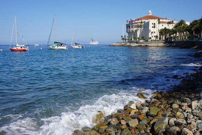 Catalina Island Day Trip from Anaheim Hotels with Discover Avalon Tour - Tour Size vs. Real Crowd Size: What the Nine Travelers Really Means