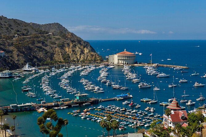 Catalina Island Day Trip from Anaheim Hotels with Discover Avalon Tour - Price Check: Is $233.85 Good Value for This Route?