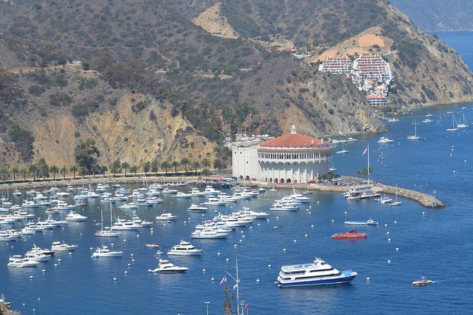 Catalina Island Day Trip from Anaheim Hotels with Discover Avalon Tour - Catalina Express: The Coast Views You Don’t Get From a Road Trip