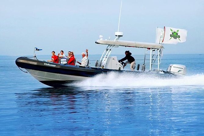 Catalina Island Trip with Hotel transfers & Optional tours - The ferry ride to Catalina: use the hour well