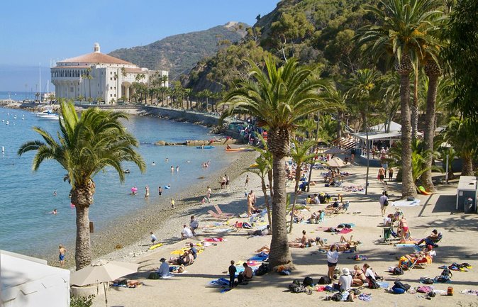 Catalina Island w/Discover Avalon Scenic Tour & Hotel transfers - Hotel Pickup, Catalina Express, and a One-Hour Crossing