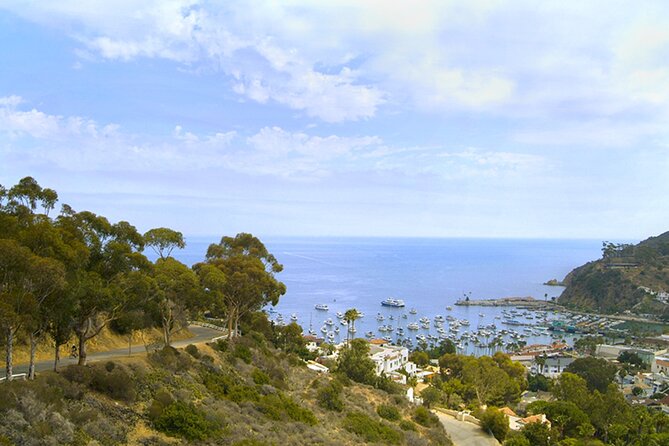 Catalina Island w/Discover Avalon Scenic Tour & Hotel transfers - Price and Value: What $233.85 Covers