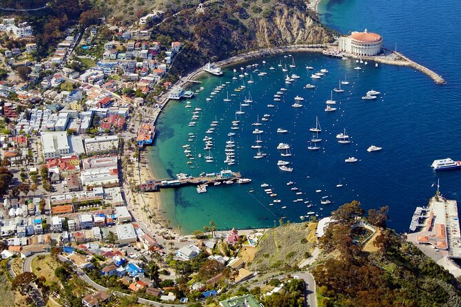 Catalina Island w/Discover Avalon Scenic Tour & Hotel transfers - Should You Book Discover Avalon With Hotel Transfers?
