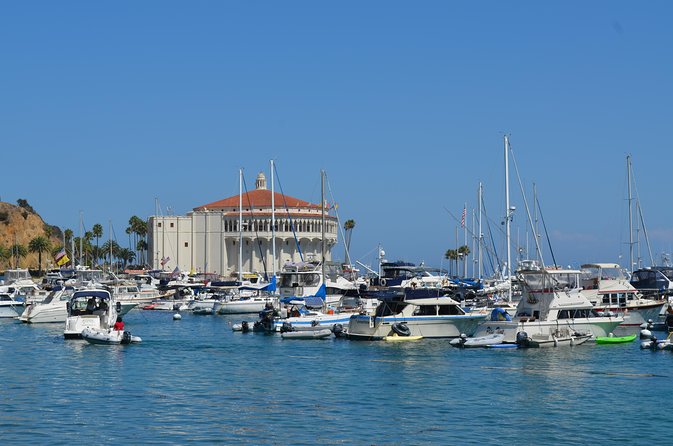 Catalina Island w/Discover Avalon Scenic Tour & Hotel transfers - Avalon Free Time: Beach Club, Shops, and Harbor Stops