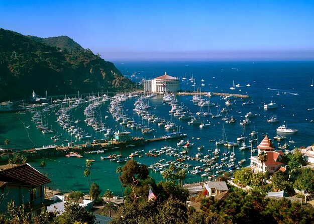 From LA: Catalina Island with Zipline Tour and Hotel Pickup - Key points to know before you go