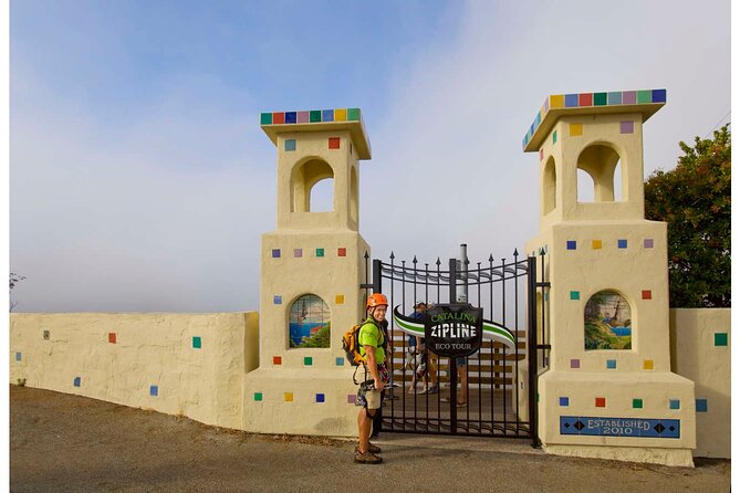 From LA: Catalina Island with Zipline Tour and Hotel Pickup - Who this zipline day fits best (and who should skip it)