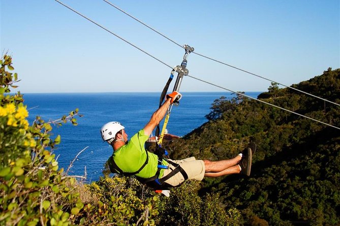 From LA: Catalina Island with Zipline Tour and Hotel Pickup - Should you book this Catalina zipline day?