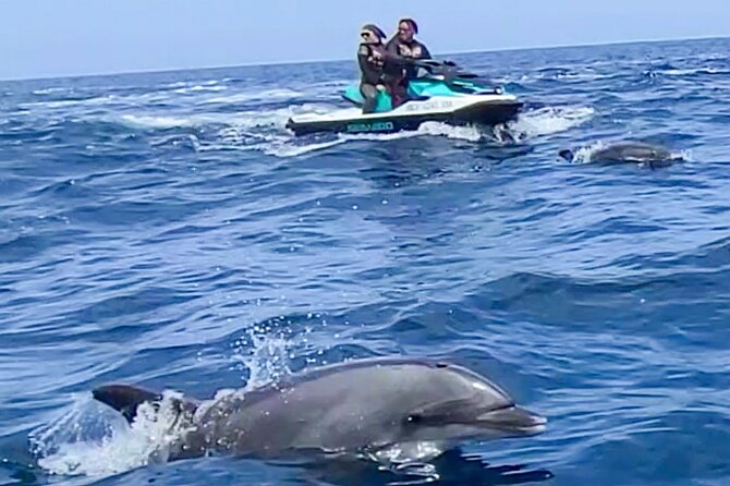 Guided Two hours Jetski Coastal Tour - Meeting point at 700 Queensway Dr: getting ready without stress
