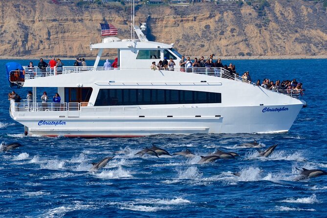 Guided Whale Watching Tour from Long Beach - Comfort at sea: catamarans, inside windows, and restroom access