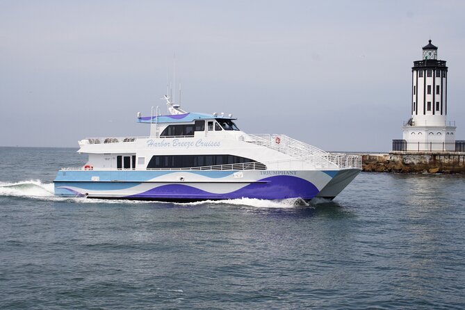 Guided Whale Watching Tour from Long Beach - The educator factor: why the captain’s commentary helps more than you think