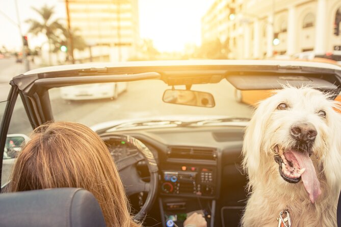 Hollywood Fame & Celebrity Homes Self-Guided Audio Bundle Tour - Start at Sunset Blvd, end at the Hollywood Sign