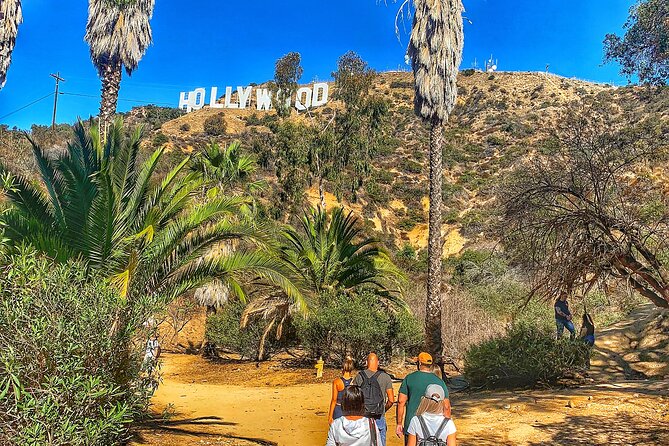 Hollywood Sign Express Tour with Comedians and Their Dogs - The Comedian-Guide Experience: More Than Facts