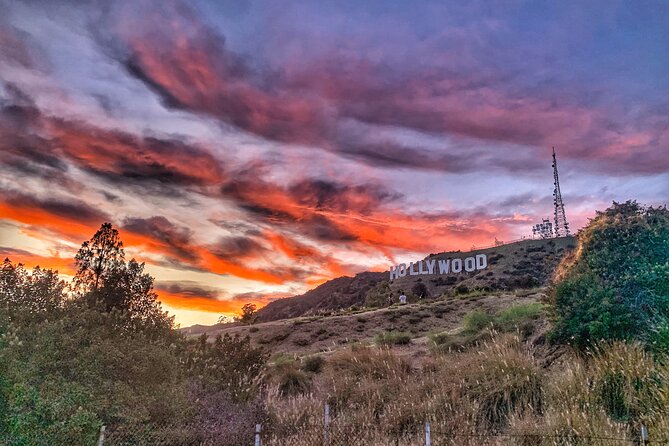 Hollywood Sign Express Tour with Comedians and Their Dogs - What You’ll Actually Do During the 75 Minutes