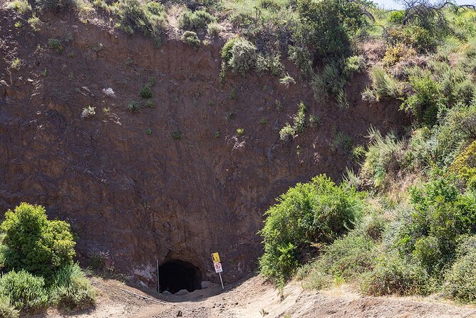 Holy Biodiversity, Batman! A Naturalist's "Batcaves" Tour - Starting at Canyon Dr: what your first minutes will feel like