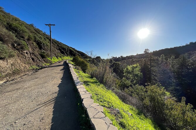 Holy Biodiversity, Batman! A Naturalist's "Batcaves" Tour - Stop 2: Griffith Park on foot, with plant smells and hands-on nature lessons