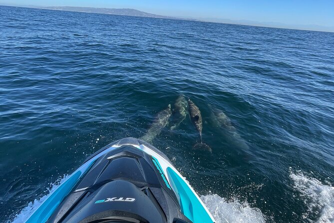Jetski Adventure: Guided Trip from Long Beach to Catalina Island - Guide support and safety gear: the stuff you don’t notice until you need it