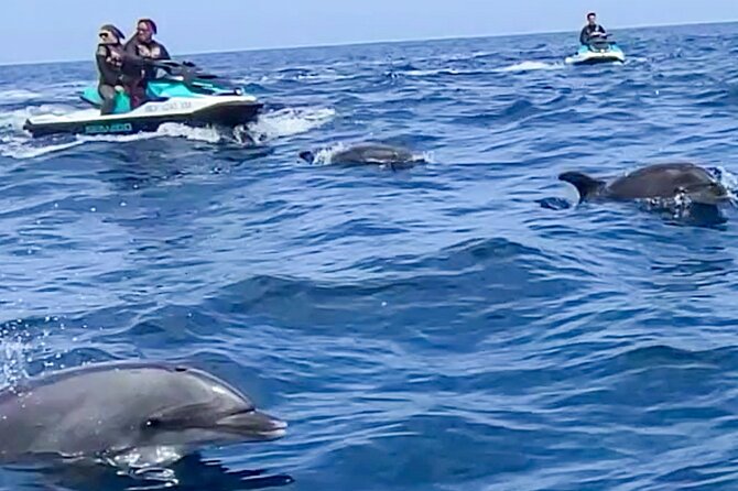 Jetski Adventure: Guided Trip from Long Beach to Catalina Island - Getting to the meeting point before 8:00 am