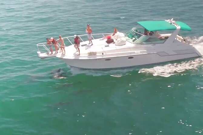 LA: Birthday Special Private Yacht (1 ticket covers 1-6 people) - Price and Value: How $399 Works for Your Group