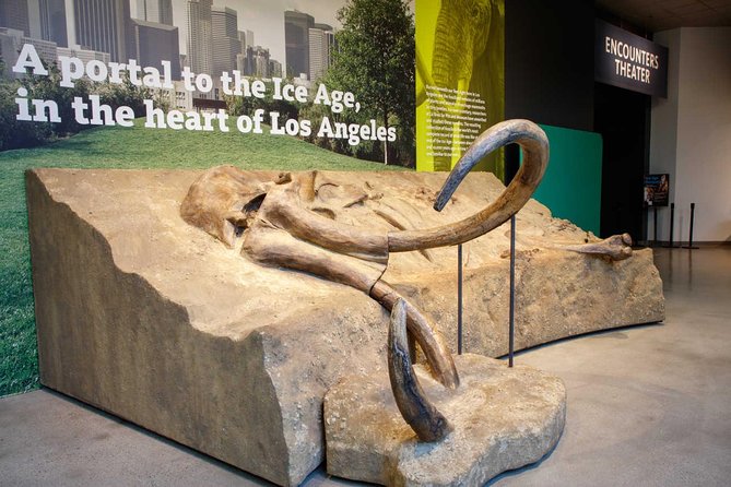 La Brea Tar Pits and Museum Admission Ticket with Excavator Tour - Inside the Museum: Bones, Labels, and a Clear-Glass Fossil Lab