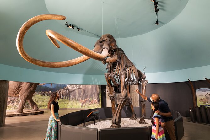 La Brea Tar Pits and Museum Admission Ticket with Excavator Tour - Excavator Tour Included: Pit 91, Observation Pit, and Project 23