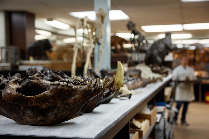 La Brea Tar Pits and Museum Admission Ticket with Excavator Tour - How Long It Takes and How to Plan Your Day