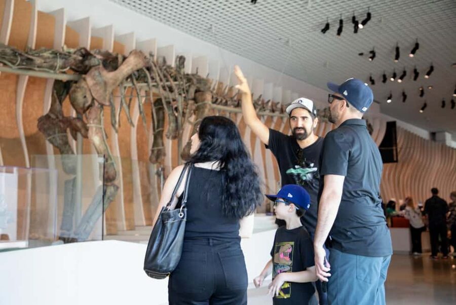 LA: Expo Park Space & Dinosaurs Tour with Cal Science Center - LA Memorial Coliseum: Olympic rings, torch, and stadium history