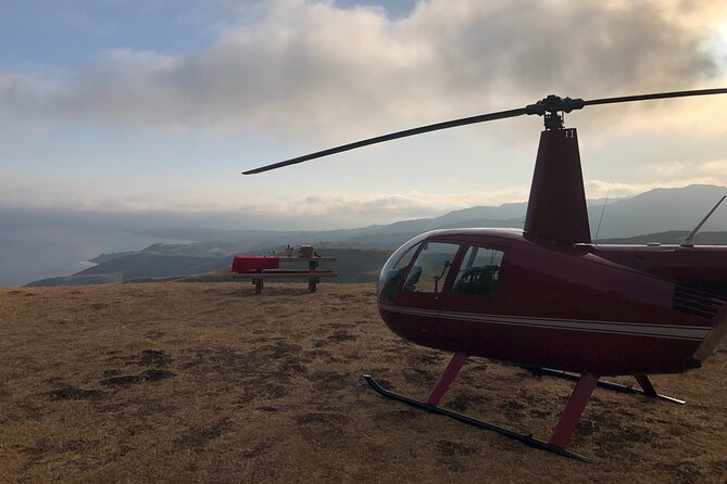 LA Helicopter Tour with Malibu Landing - Getty Center and Venice Beach: When LA Turns Into Geometry