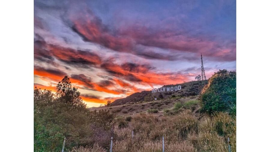 LA: Hollywood Sign Tour with Comedians, Dogs, & Epic Photos - Meeting point details: Smokey the Bear sign and traffic reality