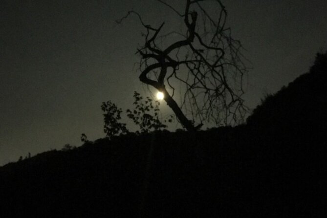 LA Night Hikers - The Guide Experience: Clear Communication and Story Pacing