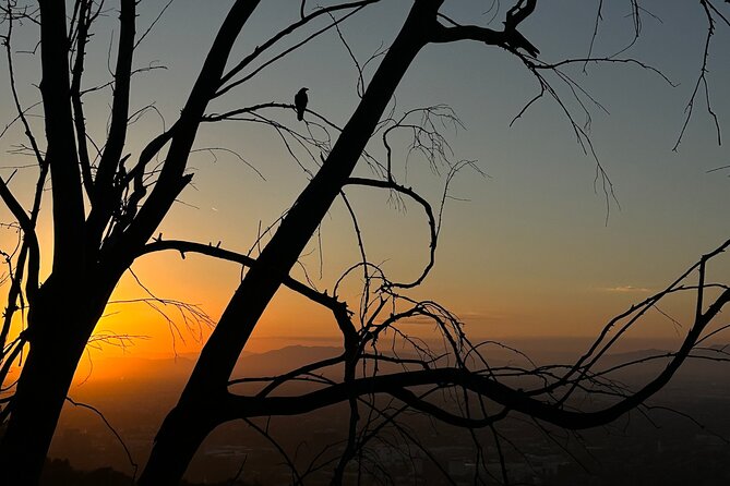 LA Night Hikers - Weather Reality Check: Night Plans Depend on the Sky