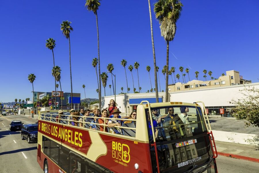 LA: TMZ Celebrity Tour & Big Bus 24-Hour Hop-on Hop-off Tour - Price and value: how $99 can work for the right traveler