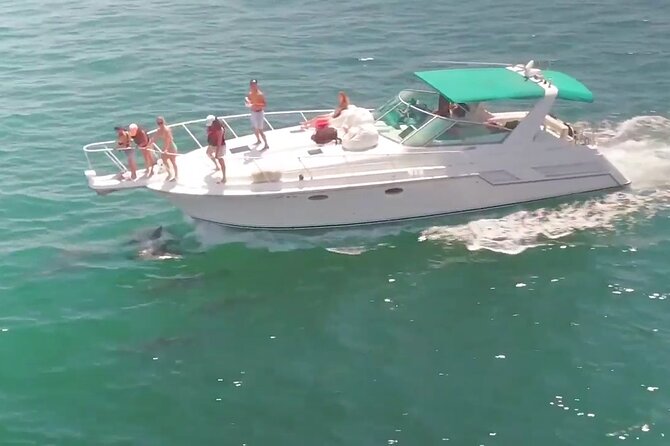 LA: Yacht Private Trip -1 hour (1 ticket covers 1-6 ppl - Pierpoint Landing boarding: keeping the first 15 minutes stress-free