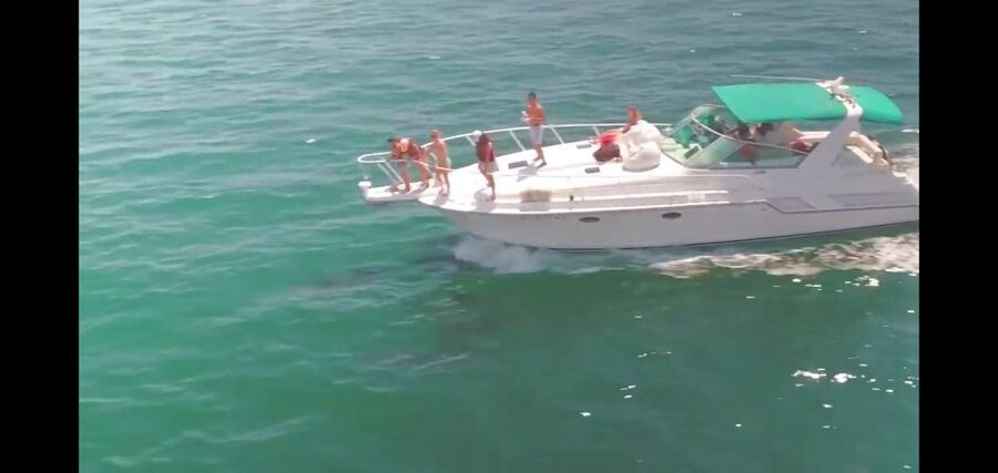 Long Beach: 2-Hour Private Group Yacht Cruise - Key Things That Make This Cruise Worth Your Time