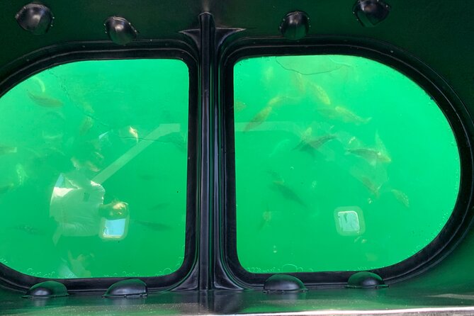Long Beach Glass Bottom Boat Eco-Tour - Key highlights you’ll care about