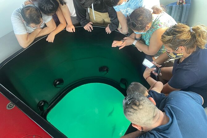 Long Beach Glass Bottom Boat Eco-Tour - Queen Mary close-up: the landmark moment you shouldn’t rush