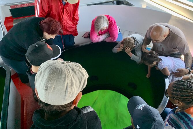 Long Beach Glass Bottom Boat Eco-Tour - Port of Long Beach container ships: watch the real action